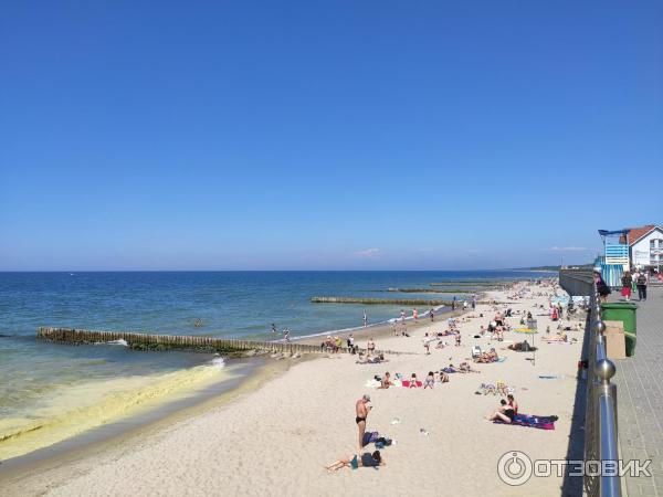 Достопримечательности Зеленоградска (Россия, Калининградская область) фото