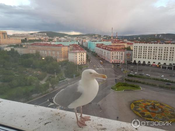 Отель Azimut Мурманск 4* (Россия, Мурманск) фото