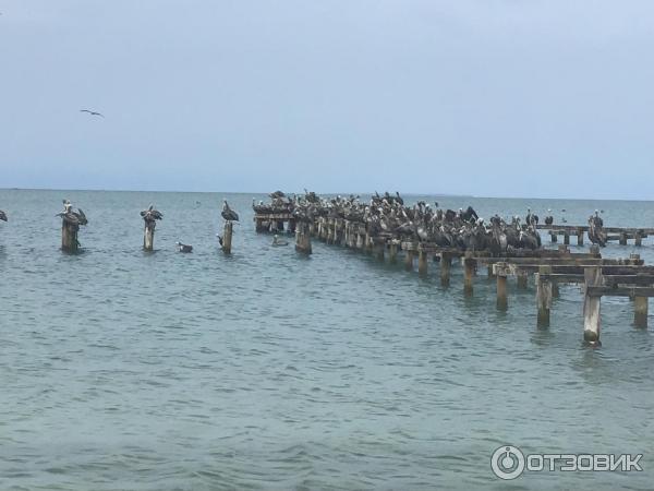 Отель Sunsol Punta Blanca 4* (Венесуэла, о. Коче) фото