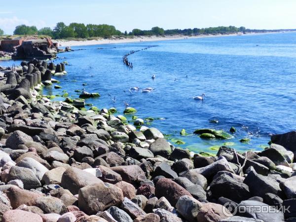 Балтийская коса (Россия, Калининградская область) фото