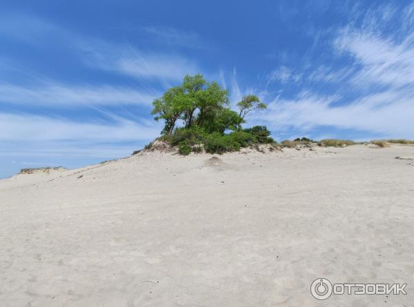 Балтийская коса (Россия, Калининградская область) фото