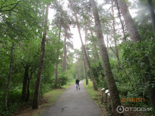 Визит-центр Музейный комплекс (Россия, Калининградская область) фото