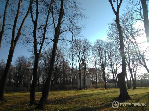 Музей-усадьба И. С. Тургенева Спасское-Лутовиново (Россия, Орловская область) фото