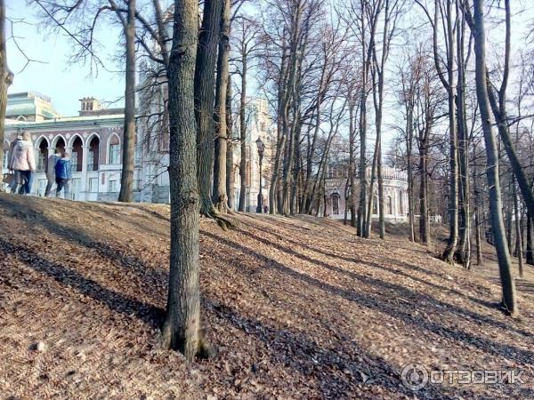 Музей-заповедник Царицыно (Россия, Москва) фото