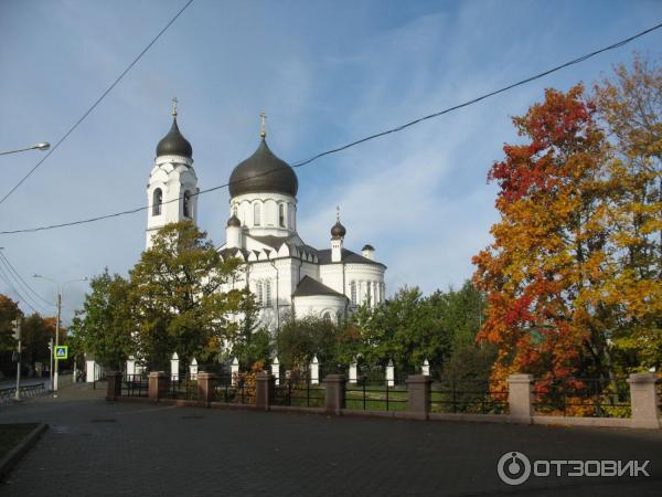 Ломоносов, собор