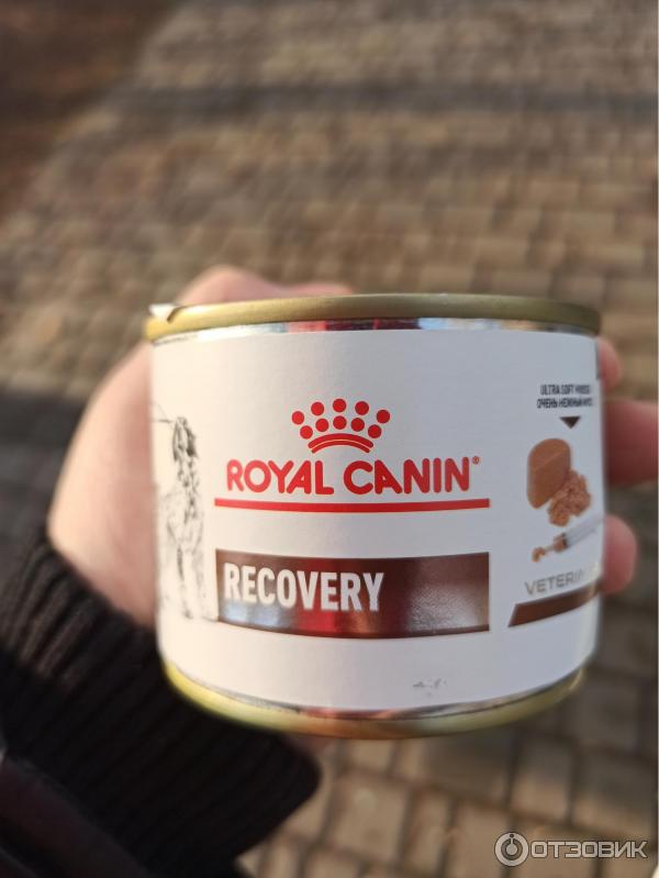 Корм для кошек и собак Royal Canin Recovery фото