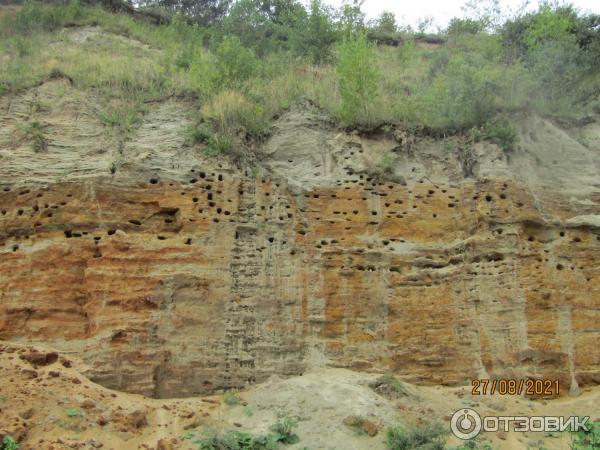 Филинская бухта (Россия, Калининградская область) фото