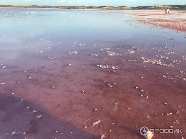 Экскурсия в розовую лагуну на острове Коче фото