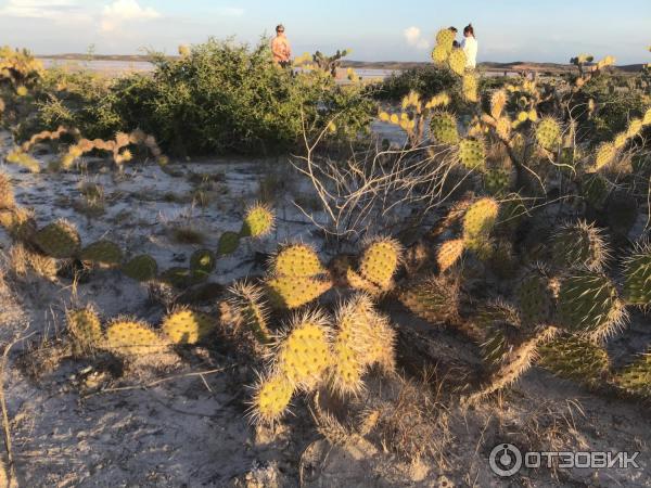 Экскурсия в розовую лагуну на острове Коче фото