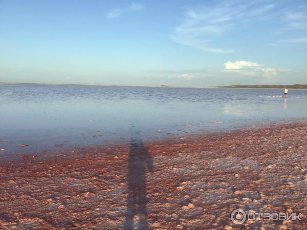 Экскурсия в розовую лагуну на острове Коче фото