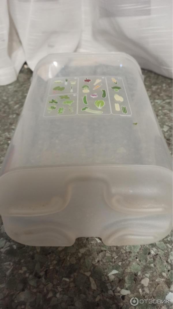 Контейнер Tupperware Умный холодильник фото