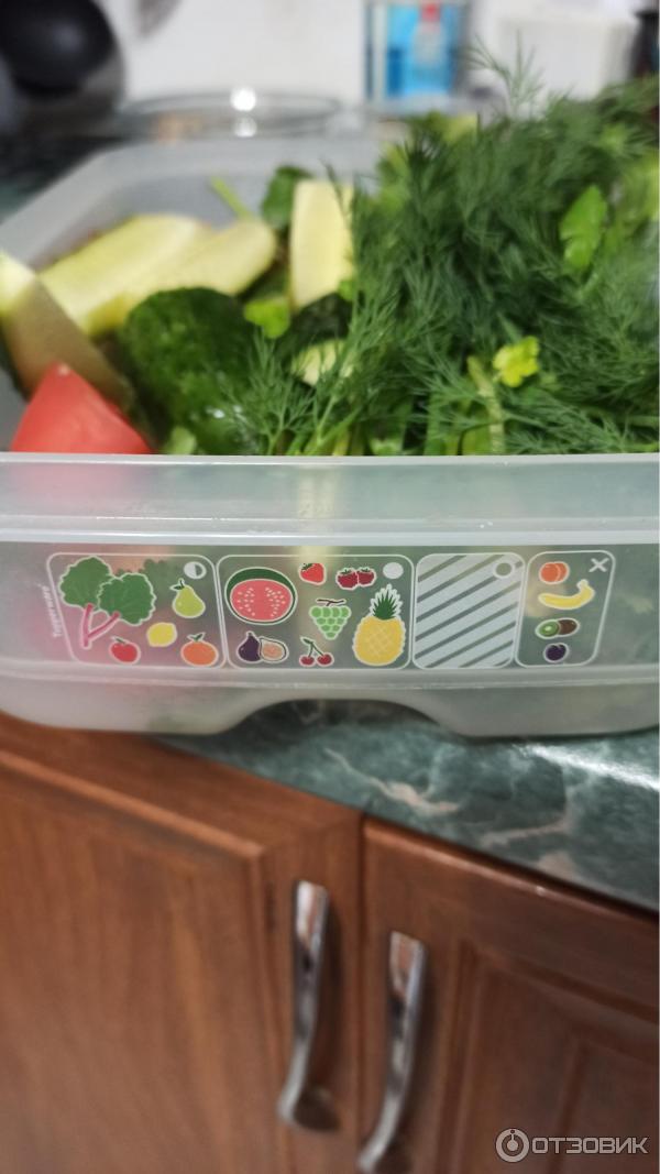 Контейнер Tupperware Умный холодильник фото