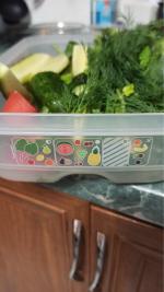 Контейнер Tupperware "Умный холодильник" фото