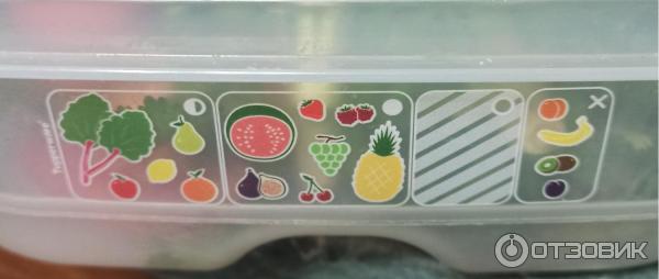 Контейнер Tupperware Умный холодильник фото