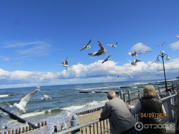 Пляж г. Светлогорска (Россия, Калининградская область) фото