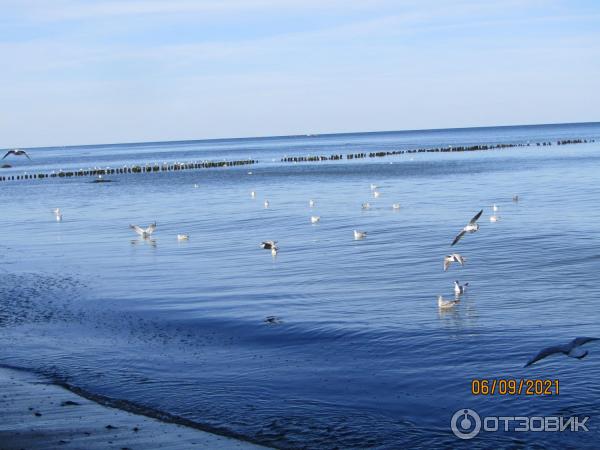 Пляж г. Светлогорска (Россия, Калининградская область) фото