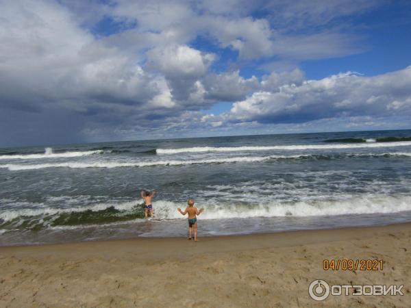 Пляж г. Светлогорска (Россия, Калининградская область) фото