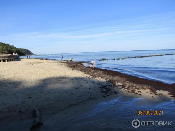 Пляж г. Светлогорска (Россия, Калининградская область) фото