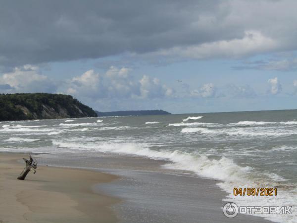 Пляж г. Светлогорска (Россия, Калининградская область) фото