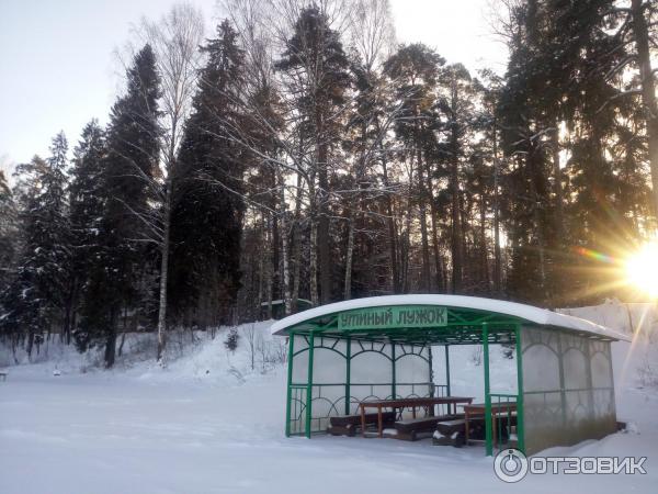 Санаторий имени Воровского (Россия, Ярославская область, пос. Кстово) фото