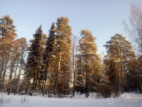 Санаторий имени Воровского (Россия, Ярославская область, пос. Кстово) фото