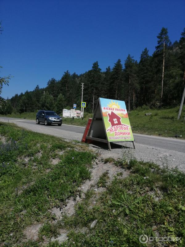 Клевая поляна горный. Клёвая Поляна горный Алтай. База клёвая Поляна горный Алтай. Клевая Поляна Чемал. Клевая Поляна Аскат.