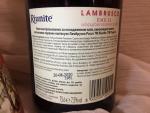 Вино игристое красное Riunite Lambrusco Emilia Amabile фото