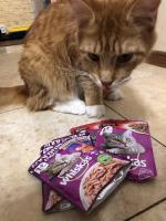 Продукция Whiskas фото