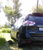 Автомобиль Nissan X-Trail внедорожник фото