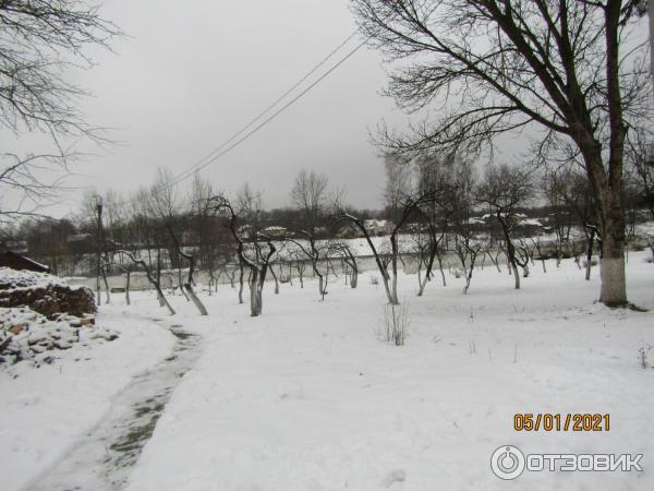 Псковский музей-заповедник Спасо-Преображенский собор Мирожского монастыря (Россия, Псков) фото