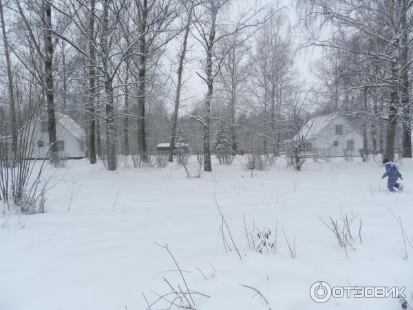 Дом отдыха Волжский прибой (Россия, Кострома) фото