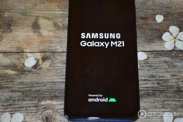 Смартфон Samsung Galaxy M21 фото