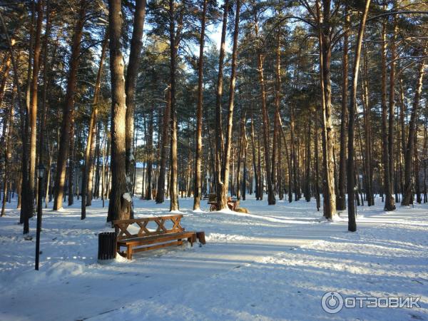 Эко-парк Тайга (Россия, Тюмень) фото