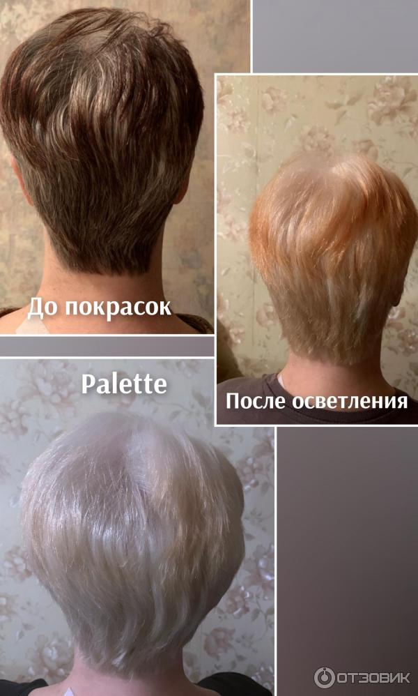 Краска для волос Palette C10