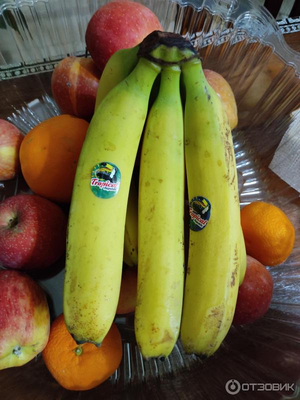 Tropical Banana Girl