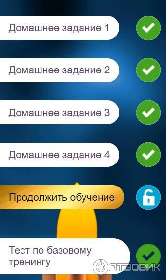 Онлайн-видеокурс Реклама на Яндекс директ РСЯ - Гульназ Гизатова фото