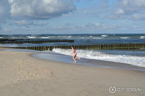 Отдых в Зеленоградске (Россия) фото