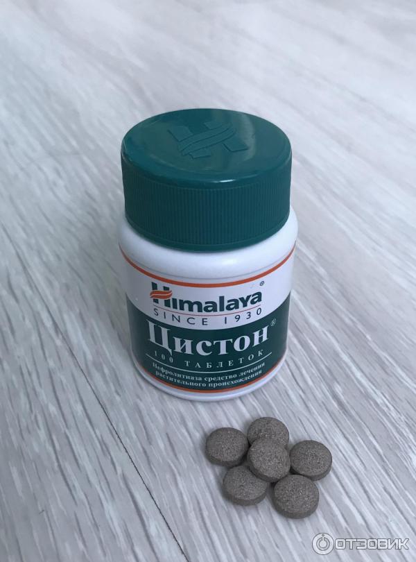 Цистон для кошек