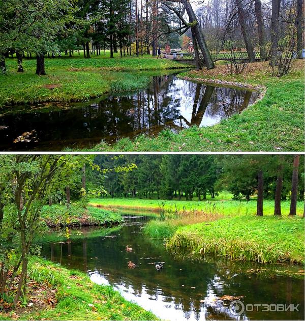 Екатерининский парк в городе Пушкин (Россия, Санкт-Петербург) фото