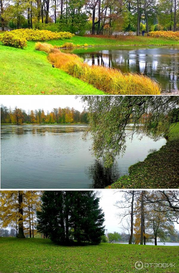 Екатерининский парк в городе Пушкин (Россия, Санкт-Петербург) фото