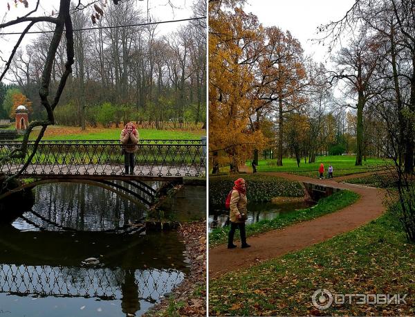 Екатерининский парк в городе Пушкин (Россия, Санкт-Петербург) фото