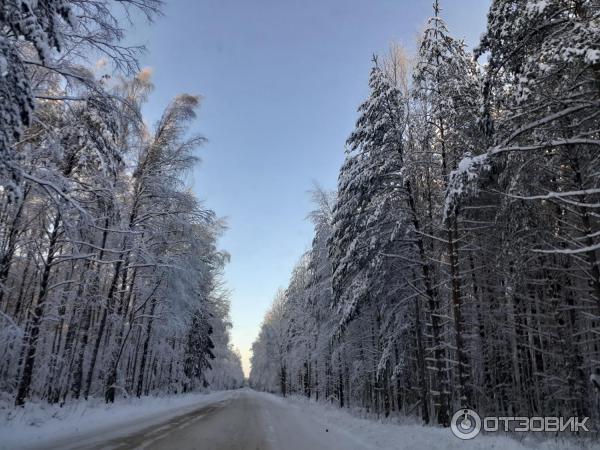 Рыбинское водохранилище (Россия, Череповец)