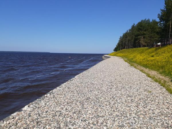 Рыбинское водохранилище (Россия, Череповец)