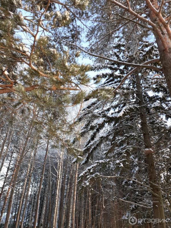 Рыбинское водохранилище (Россия, Череповец)