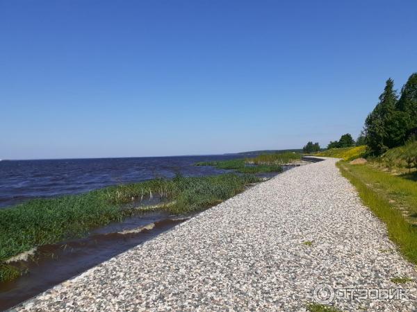 Кемпинг три берега рыбинское