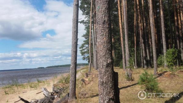 Рыбинское водохранилище (Россия, Череповец)