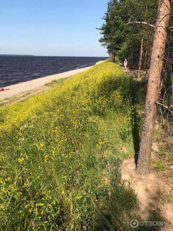 Рыбинское водохранилище (Россия, Череповец)