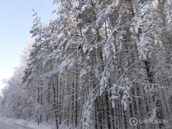 Рыбинское водохранилище (Россия, Череповец)