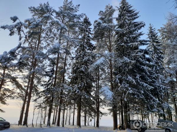 Рыбинское водохранилище (Россия, Череповец)