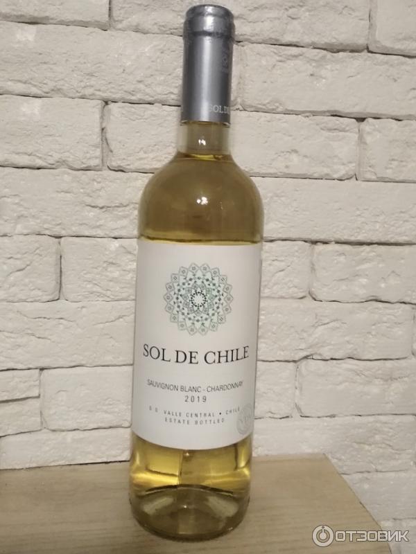 Espiritu de chile sauvignon. Sol de Chile вино белое. Вино Еспириту де Чили Совиньон Блан. Вино Эспириту де Чили Шардоне. Сол де Чили Шардоне резерв.